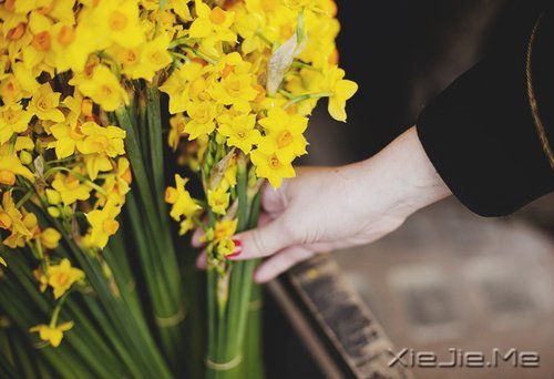 晚安心语：遇见，就是幸福 (7)
