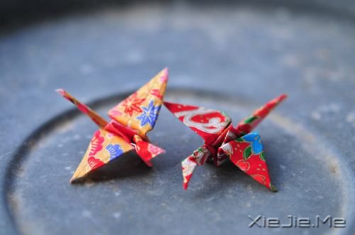晚安心语：生活或许总有遗憾，但未来依旧美好 (1)