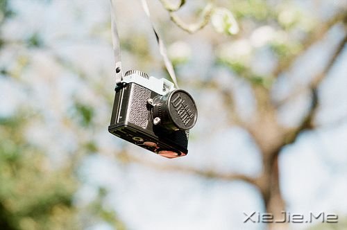 晚安心语：生活或许总有遗憾，但未来依旧美好 (8)