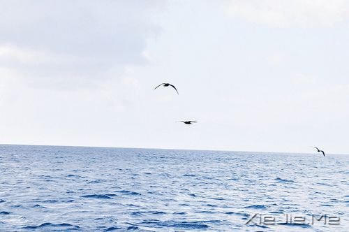 早安心语：逆风的方向，更适合飞翔 (6)