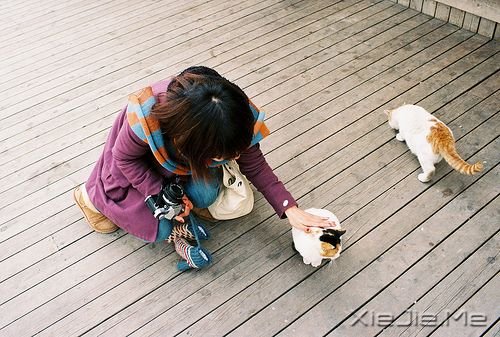 晚安心语：我的愿望是，一觉睡到小时候 (3)