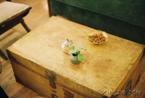 晚安心语：我的愿望是，一觉睡到小时候 (4)