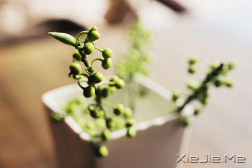 晚安心语：我的愿望是，一觉睡到小时候 (7)