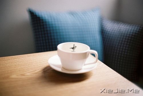 晚安心语：我的愿望是，一觉睡到小时候 (10)