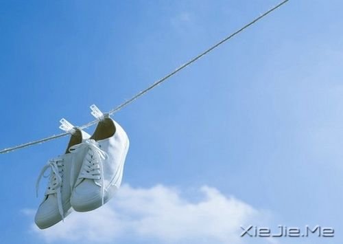 唯美图片 (1)