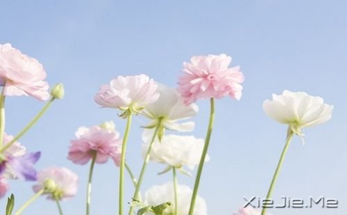 小人物，小欲望，小满足，才是大幸福 (12)