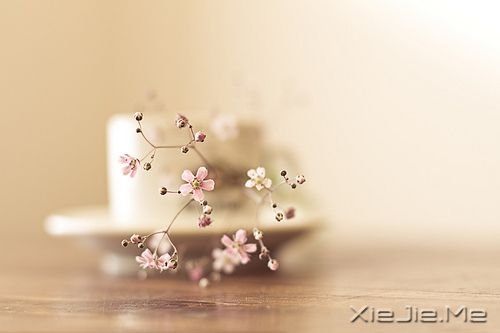 励志文章：坚持不懈，直到成功 (2)